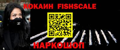 гашик Будённовск