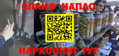 гашик Будённовск
