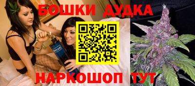 гашик Будённовск