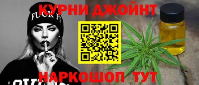 гашик Будённовск