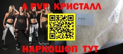 гашик Будённовск