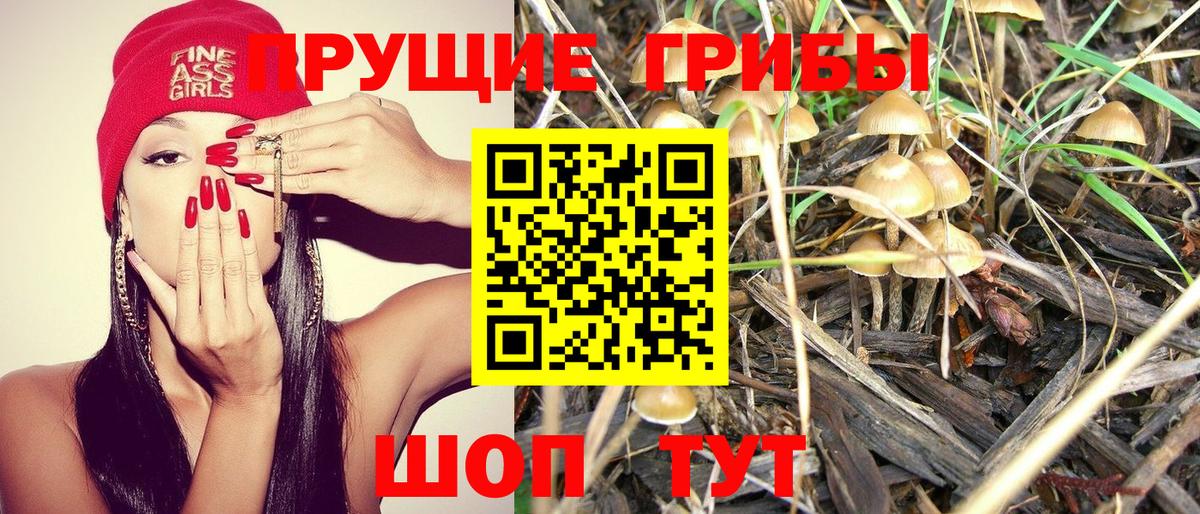 Псилоцибиновые грибы MAGIC MUSHROOMS  Псилоцибиновые грибы Magic Shrooms  Борзя  Вход с VPN 