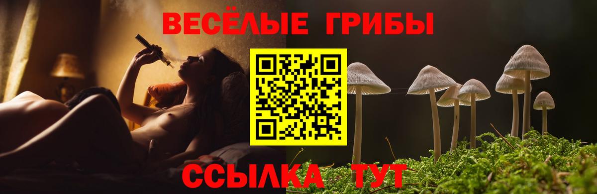 МАРИХУАНА  Вход с VPN  Каннабис  Меф кристаллы  ГАШ  A-PVP СК кристаллы  Борзя  Меф  Кокаин  ГАШИШ 